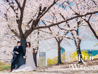 韓國首爾婚攝套餐
